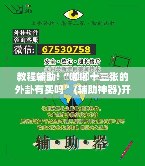 教程辅助!“嘟嘟十三张的外卦有买吗”(辅助神器)开挂详细教程