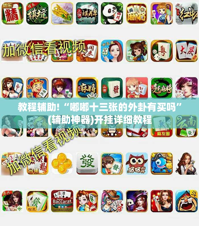 教程辅助!“嘟嘟十三张的外卦有买吗”(辅助神器)开挂详细教程