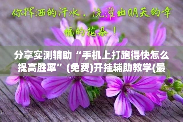 分享实测辅助“手机上打跑得快怎么提高胜率”(免费)开挂辅助教学(最新辅助开挂教程)