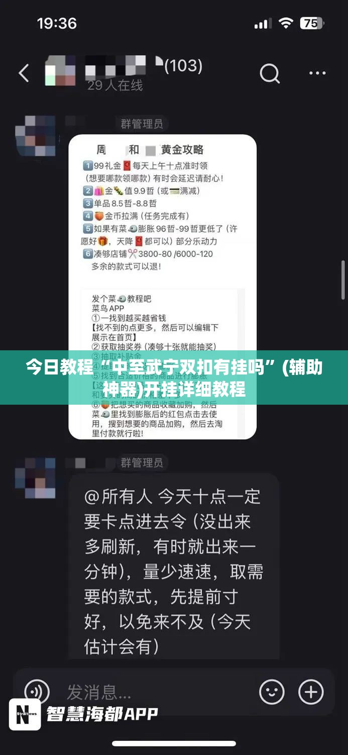今日教程“中至武宁双扣有挂吗”(辅助神器)开挂详细教程