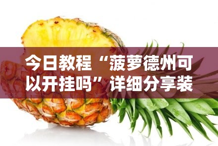 今日教程“菠萝德州可以开挂吗”详细分享装挂步骤
