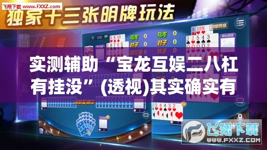 实测辅助“宝龙互娱二八杠有挂没”(透视)其实确实有挂