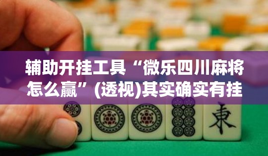 辅助开挂工具“微乐四川麻将怎么赢”(透视)其实确实有挂