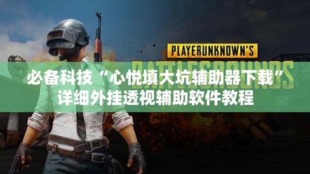 必备科技“心悦填大坑辅助器下载”详细外挂透视辅助软件教程