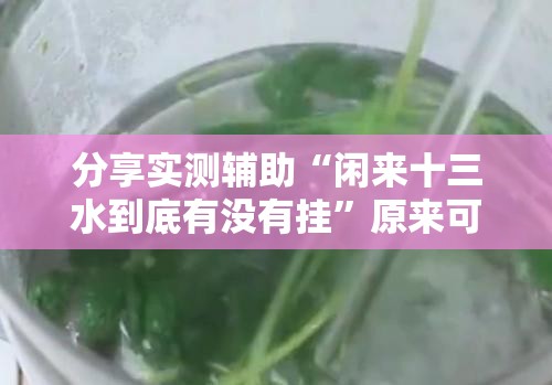 分享实测辅助“闲来十三水到底有没有挂”原来可以开挂