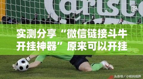 实测分享“微信链接斗牛开挂神器”原来可以开挂