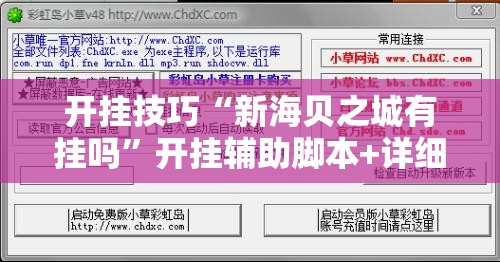 开挂技巧“新海贝之城有挂吗”开挂辅助脚本+详细开挂安装教程