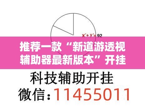 推荐一款“新道游透视辅助器最新版本”开挂辅助脚本+详细开挂安装教程