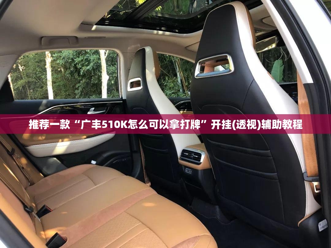 推荐一款“广丰510K怎么可以拿打牌”开挂(透视)辅助教程