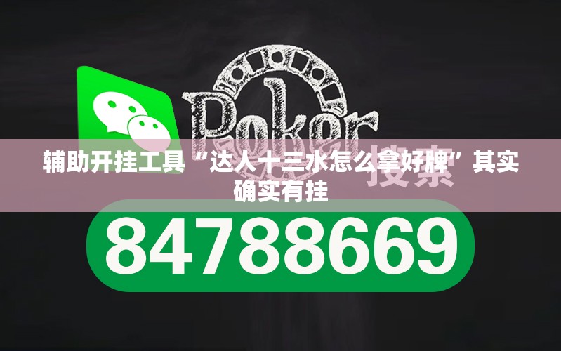 辅助开挂工具“达人十三水怎么拿好牌”其实确实有挂