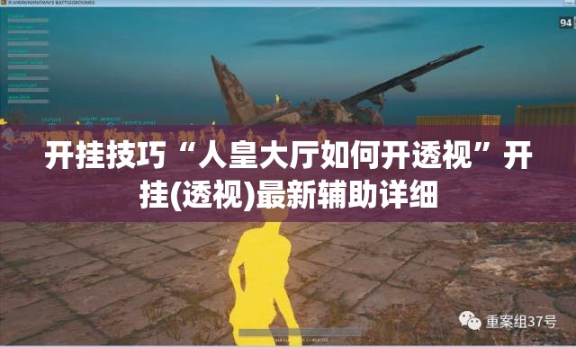 开挂技巧“人皇大厅如何开透视”开挂(透视)最新辅助详细