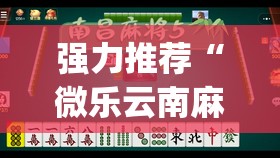 强力推荐“微乐云南麻将万能开挂器	”(辅助神器)开挂详细教程