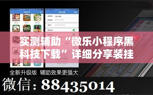 实测辅助“微乐小程序黑科技下载”详细分享装挂步骤
