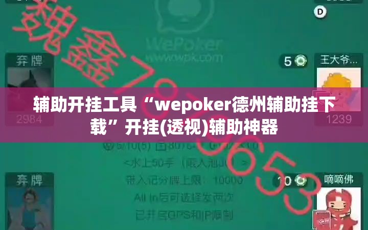 辅助开挂工具“wepoker德州辅助挂下载”开挂(透视)辅助神器