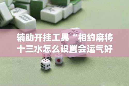 辅助开挂工具“相约麻将十三水怎么设置会运气好(透视)”开挂辅助脚本+详细开挂安装教程