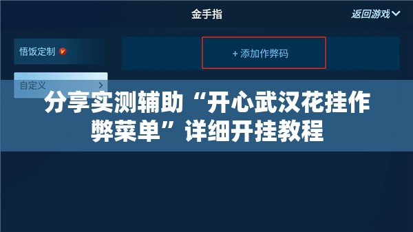 分享实测辅助“开心武汉花挂作弊菜单”详细开挂教程