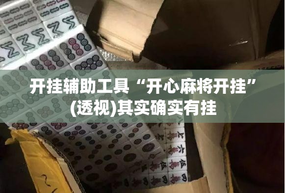 开挂辅助工具“开心麻将开挂”(透视)其实确实有挂