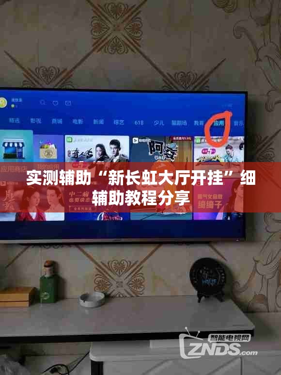 实测辅助“新长虹大厅开挂	”细辅助教程分享