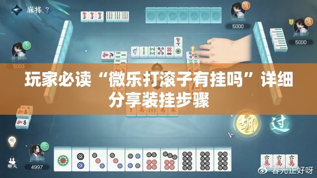 玩家必读“微乐打滚子有挂吗”详细分享装挂步骤