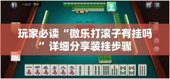 玩家必读“微乐打滚子有挂吗”详细分享装挂步骤