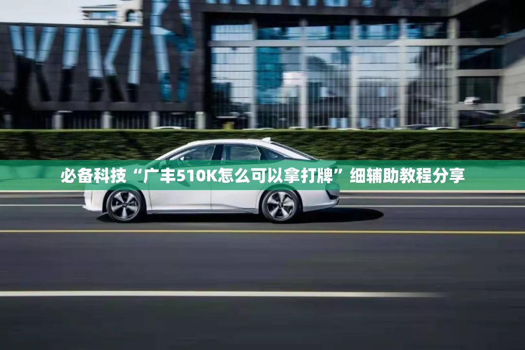 必备科技“广丰510K怎么可以拿打牌”细辅助教程分享