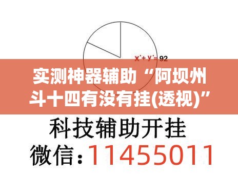 实测神器辅助“阿坝州斗十四有没有挂(透视)”开挂辅助脚本+详细开挂安装教程