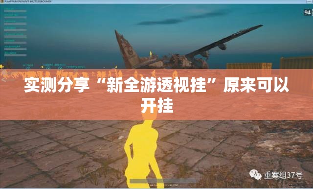 实测分享“新全游透视挂”原来可以开挂