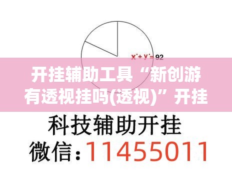 开挂辅助工具“新创游有透视挂吗(透视)”开挂辅助脚本+详细开挂安装教程