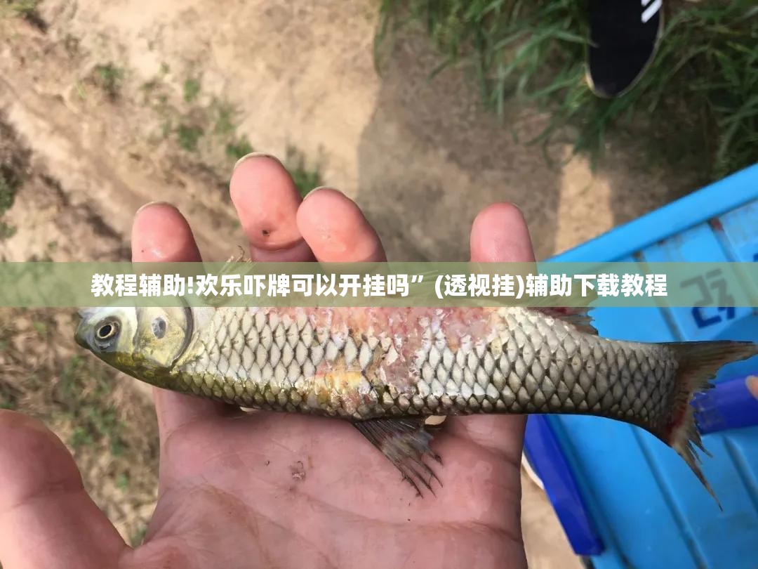 教程辅助!欢乐吓牌可以开挂吗”(透视挂)辅助下载教程