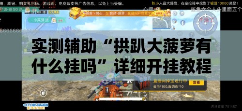 实测辅助“拱趴大菠萝有什么挂吗”详细开挂教程