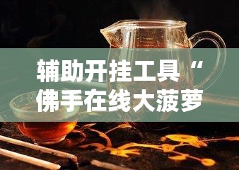 辅助开挂工具“佛手在线大菠萝可以开挂吗”开挂辅助脚本+详细开挂安装教程