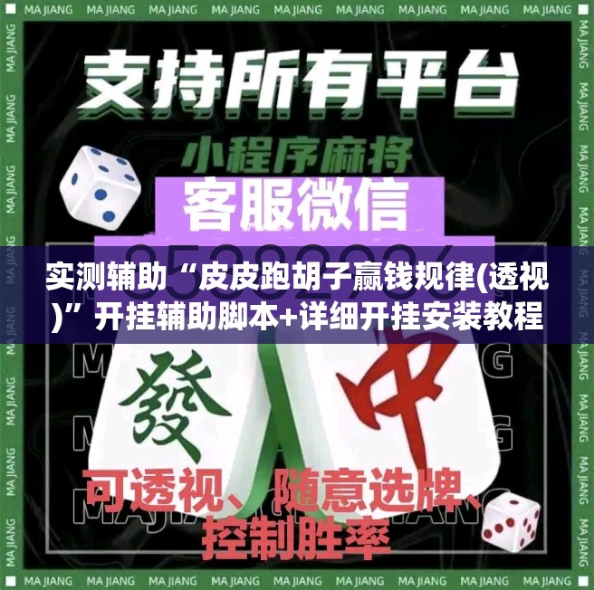 实测辅助“皮皮跑胡子赢钱规律(透视)”开挂辅助脚本+详细开挂安装教程