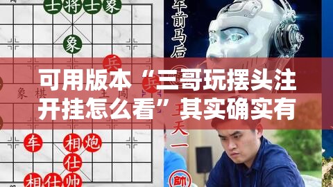 可用版本“三哥玩摆头注开挂怎么看	”其实确实有挂