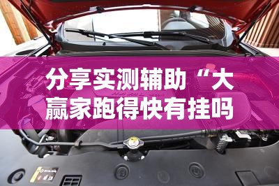 分享实测辅助“大赢家跑得快有挂吗”开挂详细教程