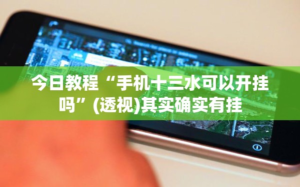 今日教程“手机十三水可以开挂吗”(透视)其实确实有挂