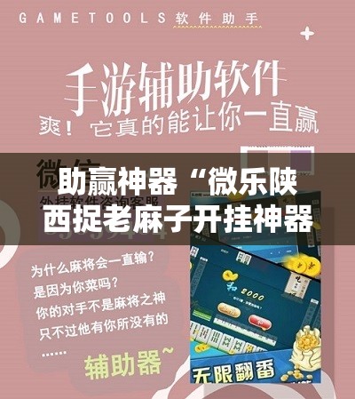 助赢神器“微乐陕西捉老麻子开挂神器”开挂详细教程