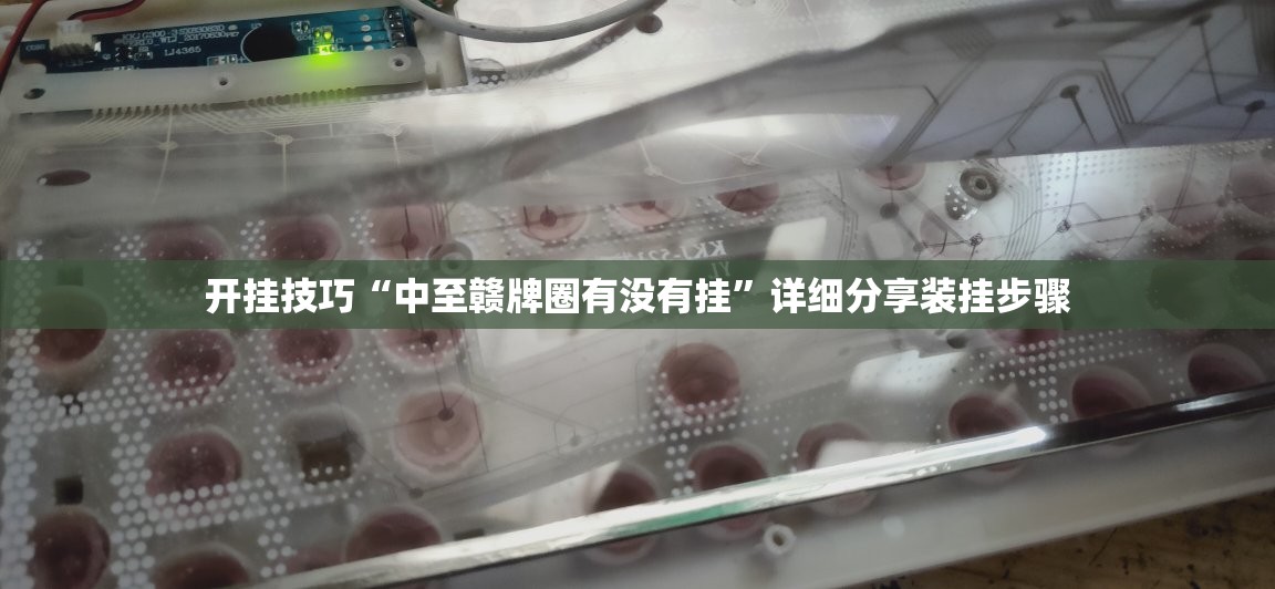 开挂技巧“中至赣牌圈有没有挂”详细分享装挂步骤