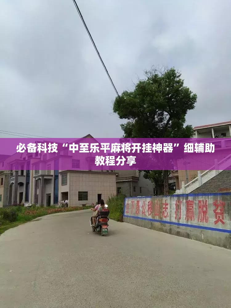 必备科技“中至乐平麻将开挂神器”细辅助教程分享