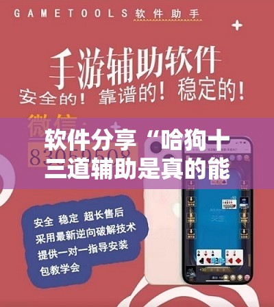 软件分享“哈狗十三道辅助是真的能用吗”开挂辅助脚本+详细开挂安装教程