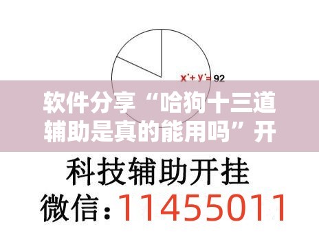 软件分享“哈狗十三道辅助是真的能用吗”开挂辅助脚本+详细开挂安装教程