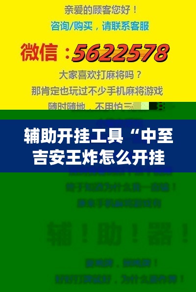 辅助开挂工具“中至吉安王炸怎么开挂”开挂(透视)辅助神器