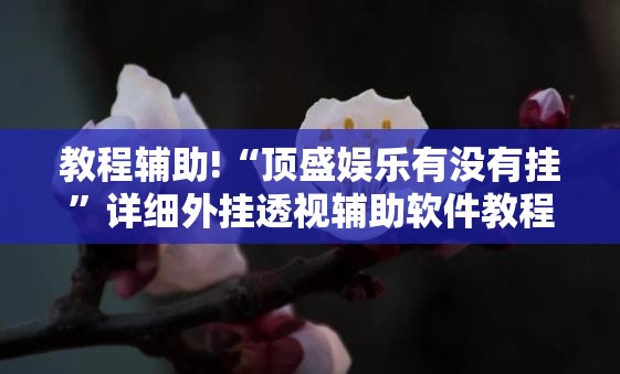 教程辅助!“顶盛娱乐有没有挂”详细外挂透视辅助软件教程