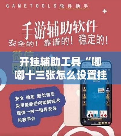 开挂辅助工具“嘟嘟十三张怎么设置挂”开挂(透视)辅助神器