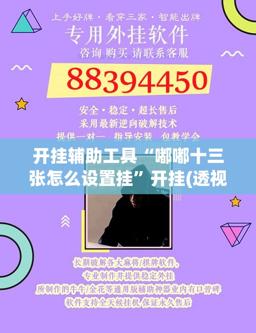 开挂辅助工具“嘟嘟十三张怎么设置挂	”开挂(透视)辅助神器