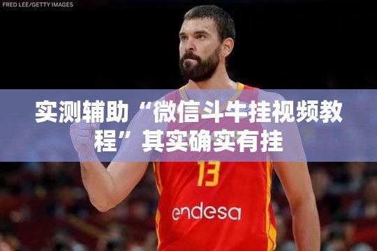 实测辅助“微信斗牛挂视频教程”其实确实有挂