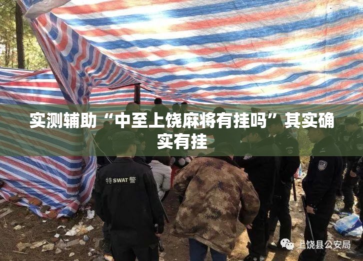 实测辅助“中至上饶麻将有挂吗”其实确实有挂