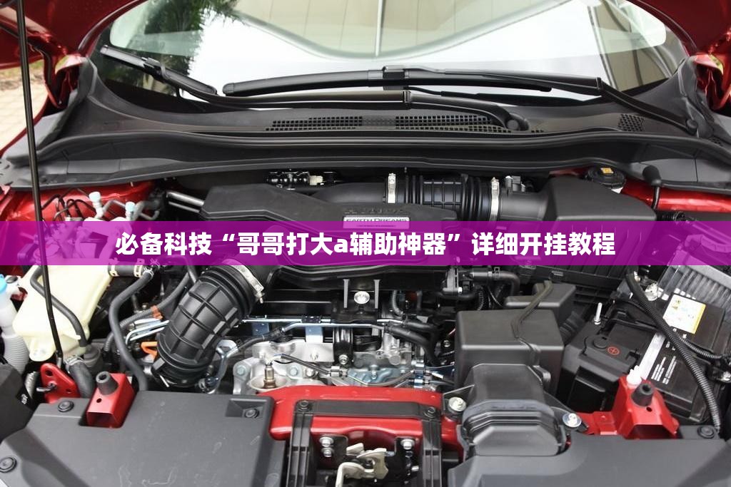 必备科技“哥哥打大a辅助神器”详细开挂教程