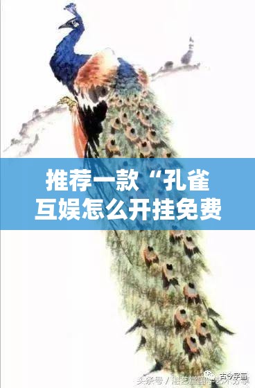推荐一款“孔雀互娱怎么开挂免费”详细开挂教程
