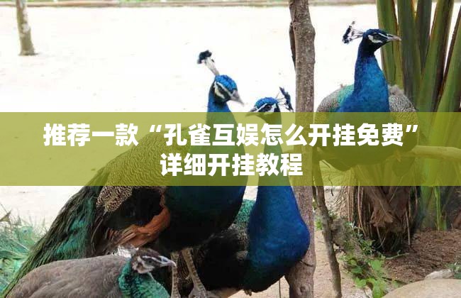 推荐一款“孔雀互娱怎么开挂免费”详细开挂教程