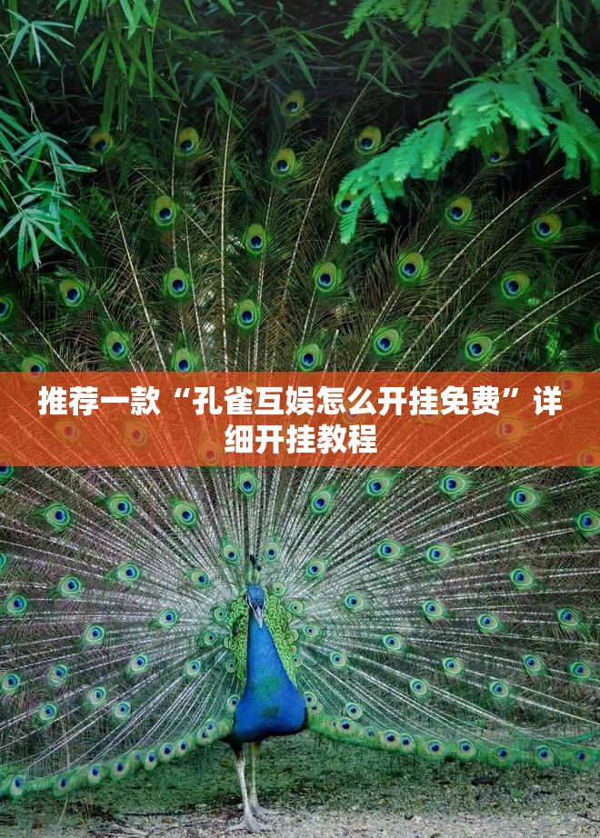 推荐一款“孔雀互娱怎么开挂免费	”详细开挂教程